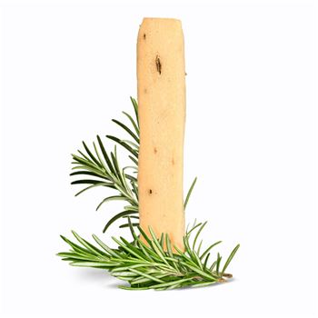 Rosemary Panisse